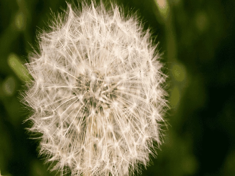 昆明惜缘试管代生机构:怀二胎孕吐反应特大,和孕妇自身以及胎儿都有关